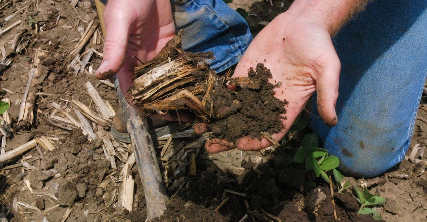 Two hands holding mineralized soil