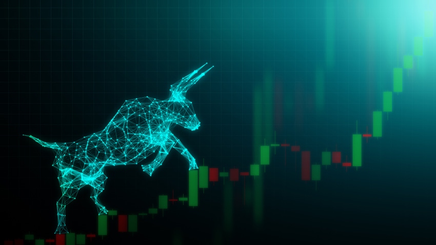 Bull with market chart