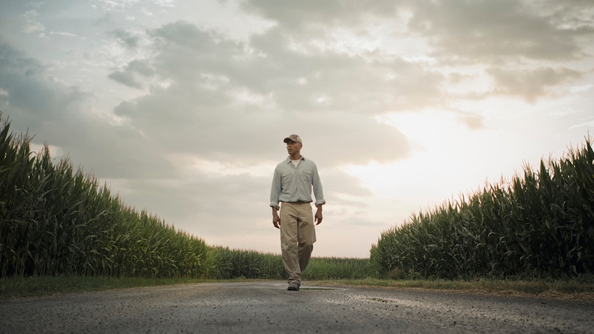 Farmer walking on path between corn fields
