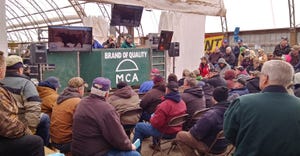 The 31st Annual MCA-MSU Bull Evaluation Program sale day was March 16 in Crystal.