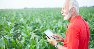 Smiling senior, gray haired, agronomist or farmer in red shirt using tablet in corn field. Looking into distance. Side view.
