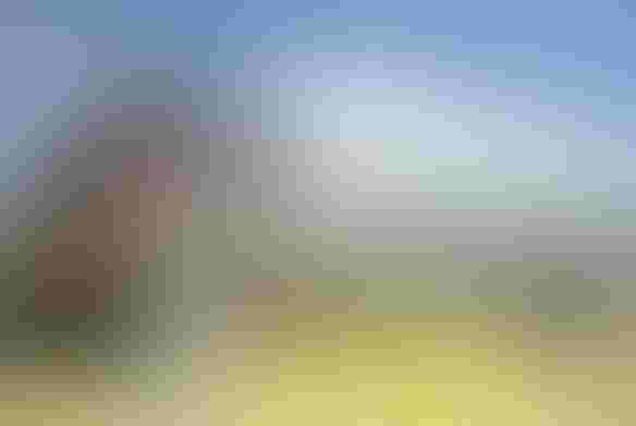 0429H1-1417B-584x391.jpg 0429H1-1417B-584x391.jpg