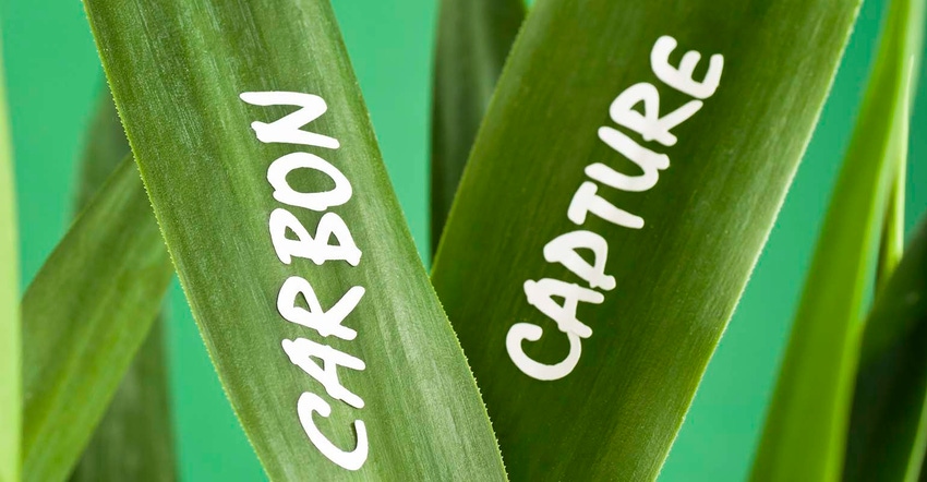 Carbon Capture-Wijnand Loven-Getty-148272344.jpg Carbon Capture-Wijnand Loven-Getty-148272344.jpg