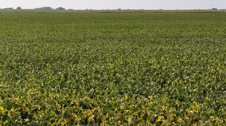Will more farmland go on auction block this fall?
