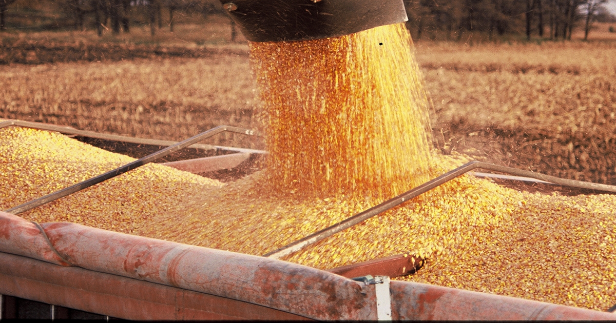 Two brothers break South Dakota’s corn yield record