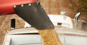Freshly harvested soybeans are being offloaded from a combine, falling from an auger, into a grain truck.