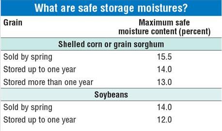 4_tips_keeping_stored_grain_condition_2_636166401543497715.jpg