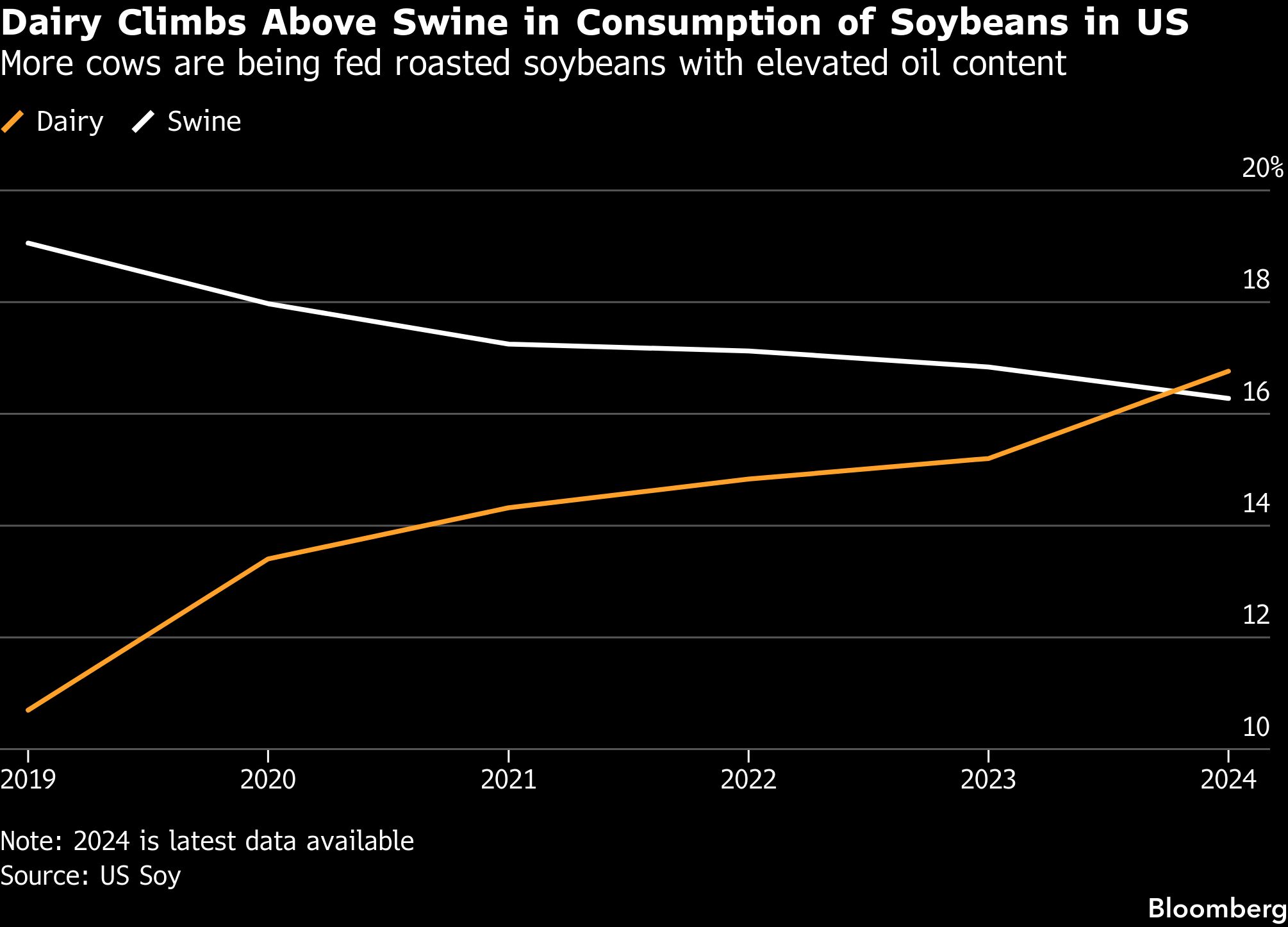 Dairy consumes more U.S. soybeans than swine