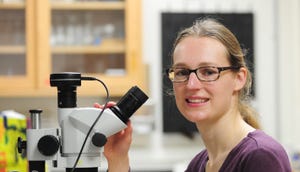 UC Davis entomologist and postdoctoral fellow Elvira de Lange