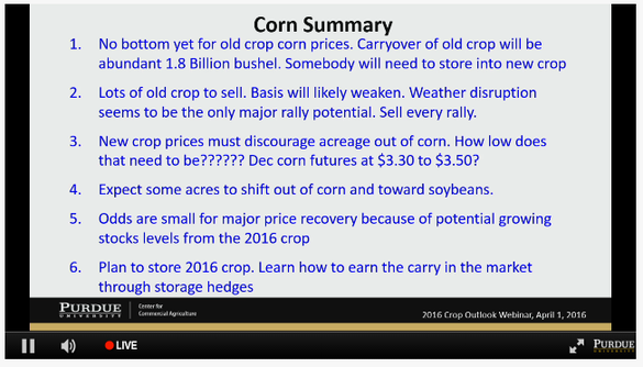 corn outlook for 2016