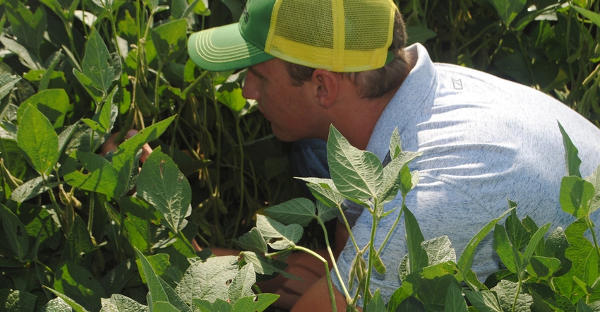 boy looking at soybeans in  field