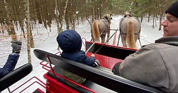 Sleigh ride provides extraordinary Christmas memory