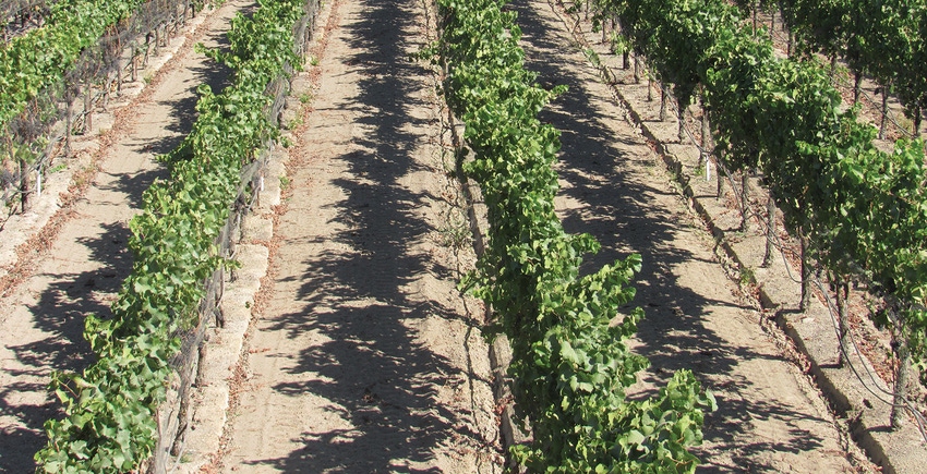 GL0310-hearden-wine-industry.JPG GL0310-hearden-wine-industry.JPG