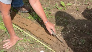 hand points to roots about 4 feet deep in a soil sample core