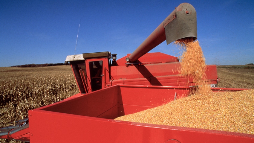 combine loading corn into grain cart against blue sky combine loading corn into grain cart against blue sky