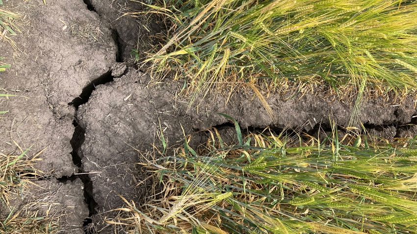 Cracks in dry soil