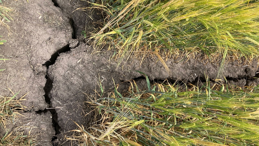 Cracks in dry soil Cracks in dry soil