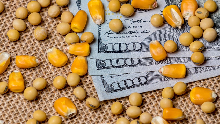 Corn and soybeans with hundred dollar bills on burlap background