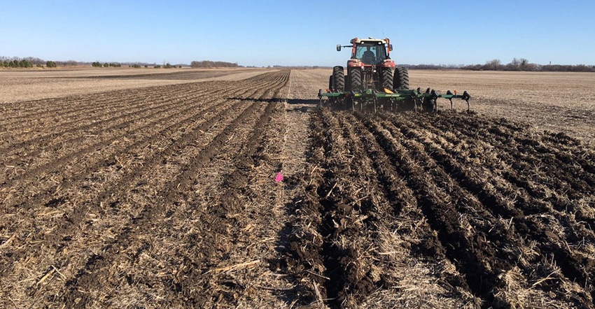 Strip till (left) and chisel plow (right) strips for on-farm research.