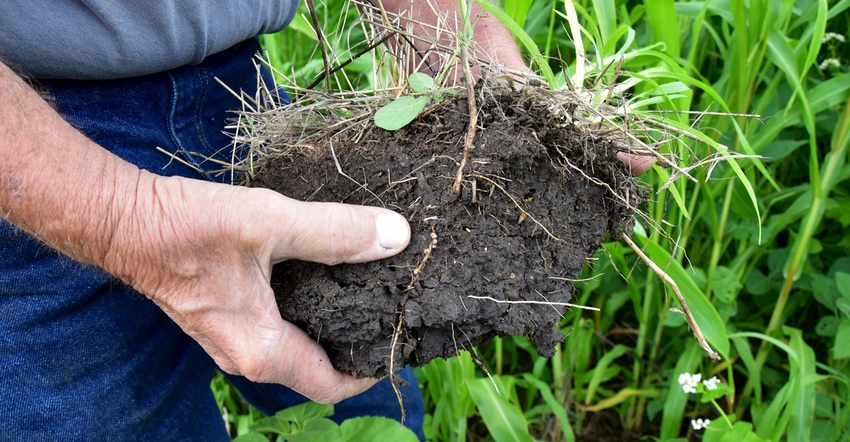 Close-up of hands holding soil