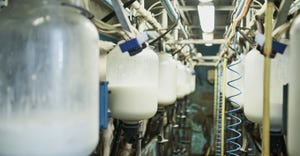 Cropped shot of milk bottles being filled in a dairy plant