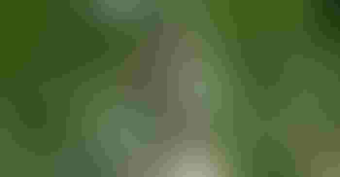 0720T1-3449b-1540x800.jpg 0720T1-3449b-1540x800.jpg