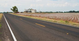 near a roadway on a farm in Navasota, Texas