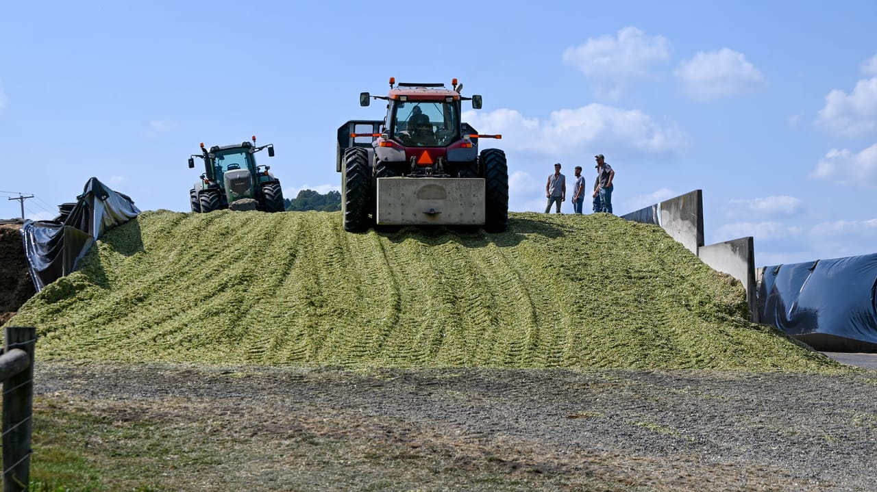 Building A Silage Stack Corn silage harvest: Expert advice for optimal yield and quality