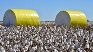 Two cotton bales with yellow wrap sitting in field of cotton.