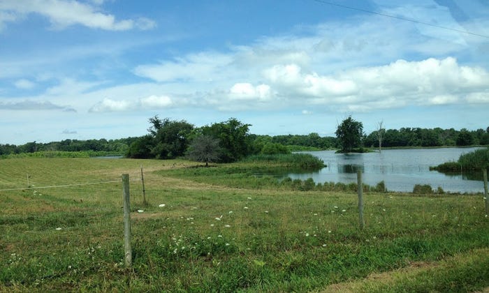 Restored wetland in Marshall county