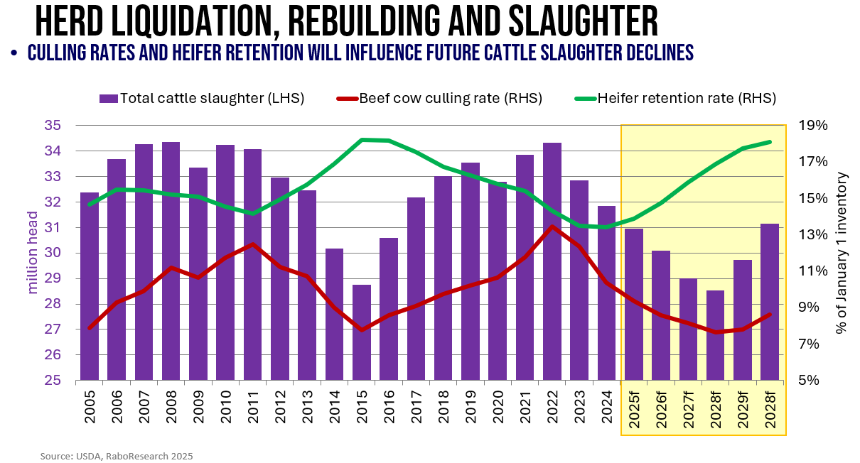 Graph showing herd liquidation, rebuilding and slaughter since 2005