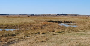 Conservation wetlands restoration area