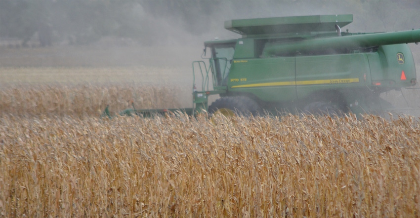 Combine in corn field