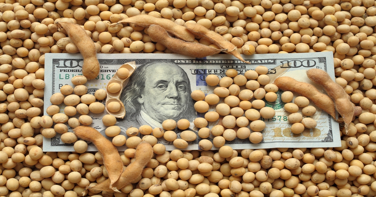 Soybeans traders are busy debating the good, the bad and the ugly.