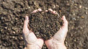 Six ways to measure and improve soil  