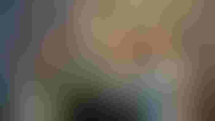 0629M1-2804B-1540x866.jpg 0629M1-2804B-1540x866.jpg