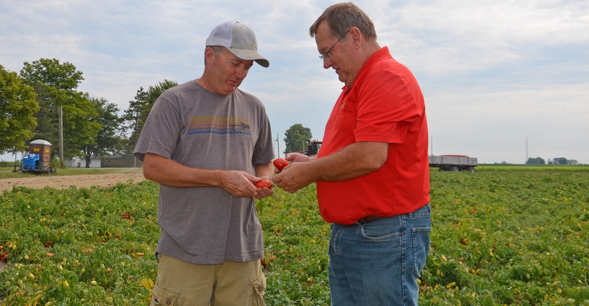Steve Smith discusses tomatoes with Ray Utterback