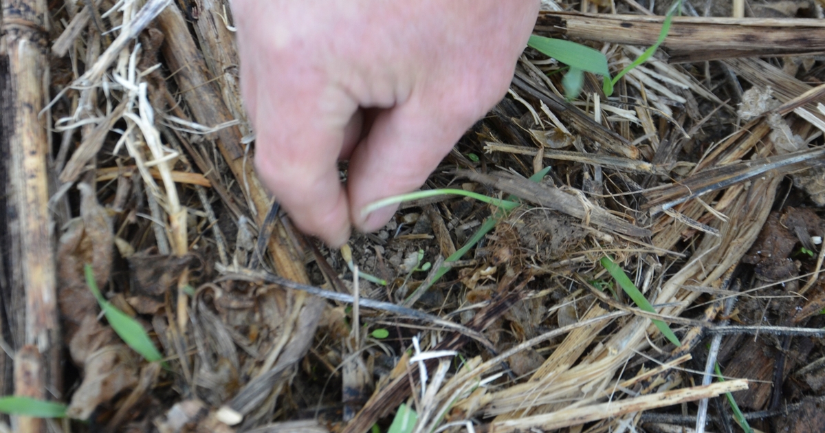 Build more resilient soils on your farm