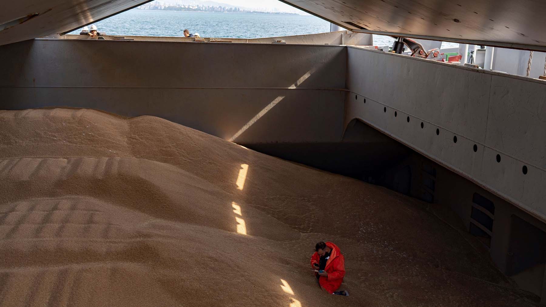 Grain on export ship in Ukraine