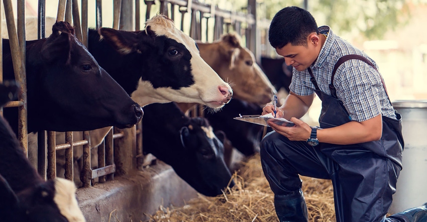  Farmers are recording details of each cow on the farm.