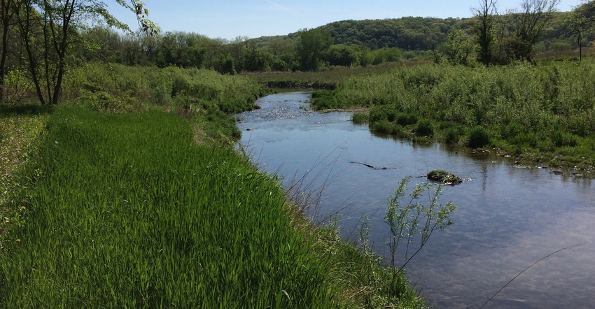 Stream and conservation land Stream and conservation land