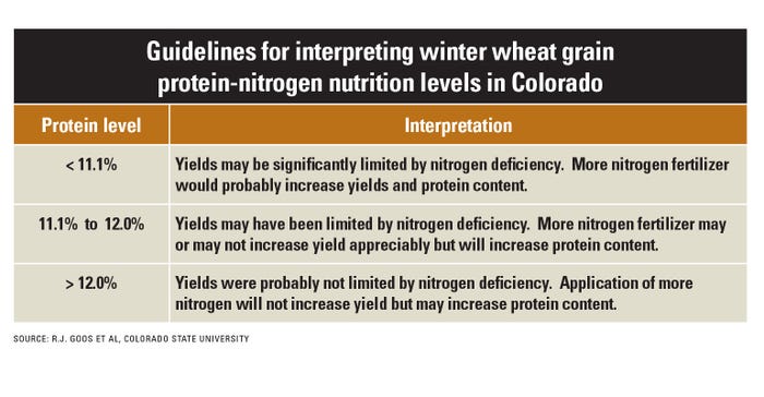 factors that may influence protein production in wheat