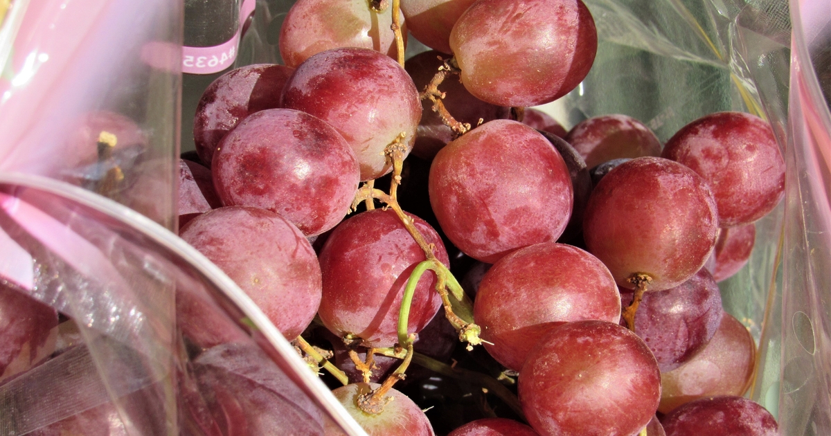 Study Grape consumption helps eye health