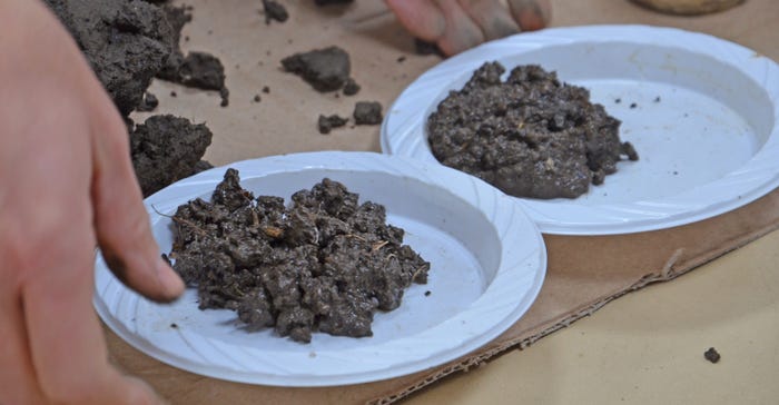 clumps of soil on paper plates
