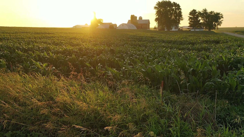 Field with farmstead in background at sunrise