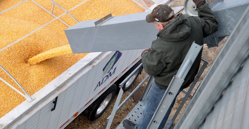 farmer watching grain being load into grain cart