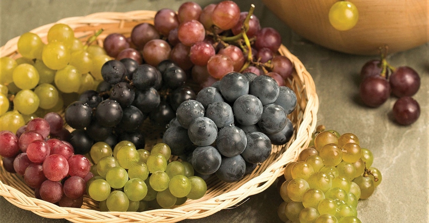 WFP-ARS-table-grapes.jpg