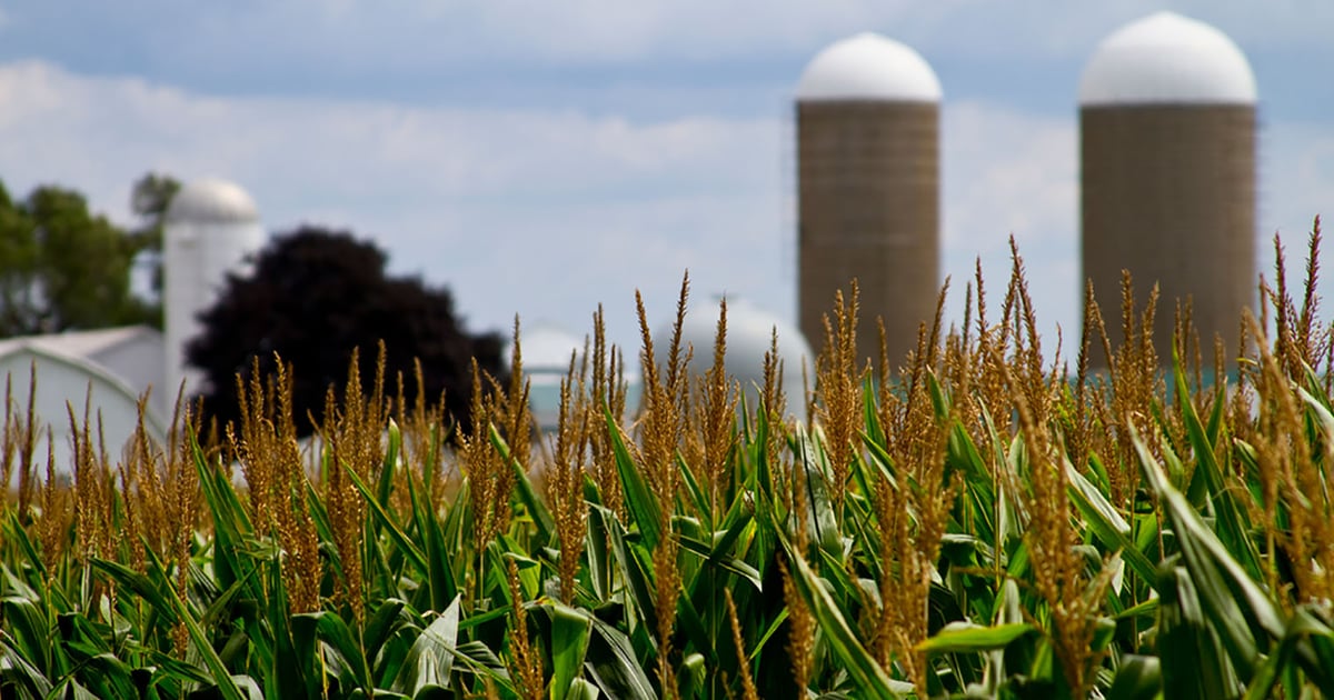 Entry Period Open For 2021 National Ag Day Essay Contest Entry period open for 2021 national ag day essay contest