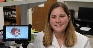 : Kathryn Reif, assistant professor in the diagnostic medicine and pathobiology department 
