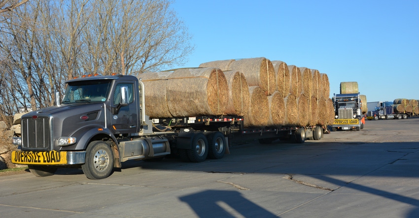 : A caravan of 10 trucks loaded with hay and 2 pickups pulling trailers loaded with fencing supplies rolls out of Hutchinson 